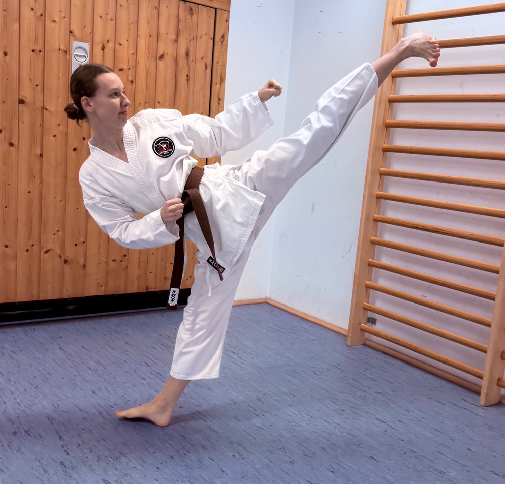 Der Martial Arts Dojo e.V. startet im November